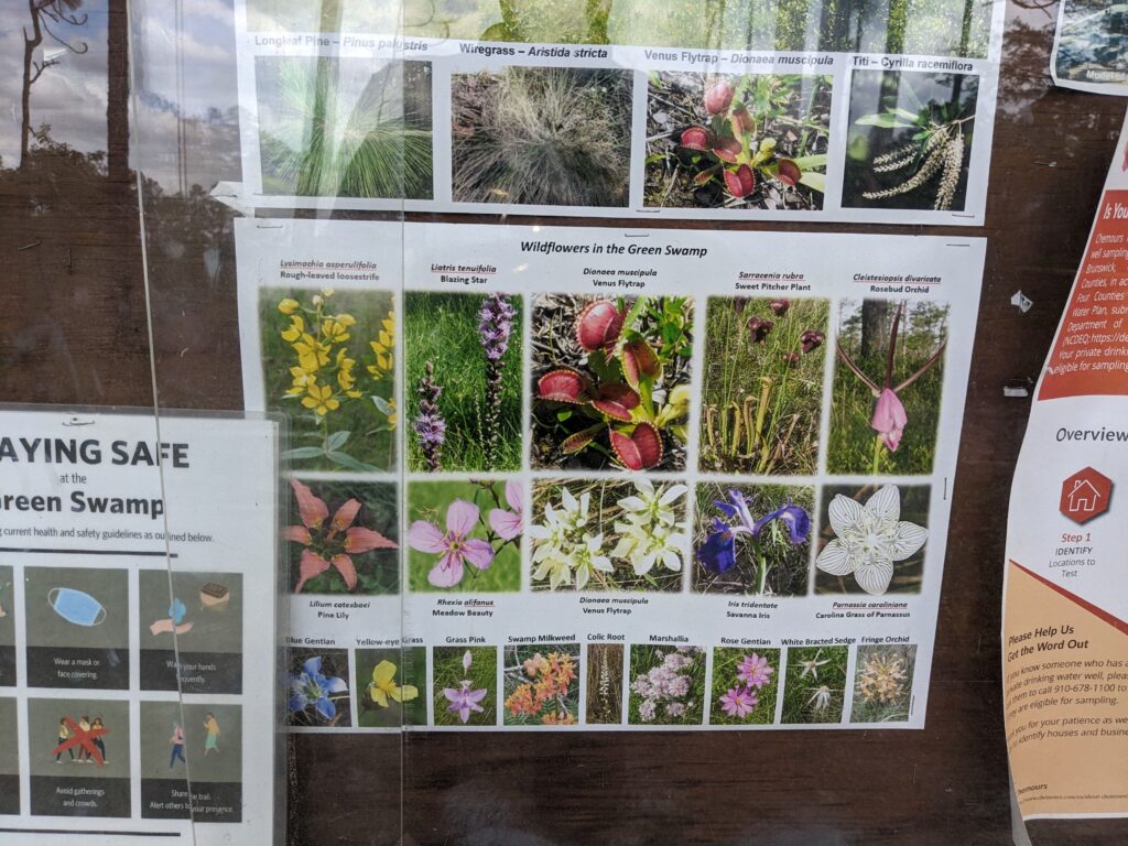 Informational sign of plants in Green Swamp Preserve